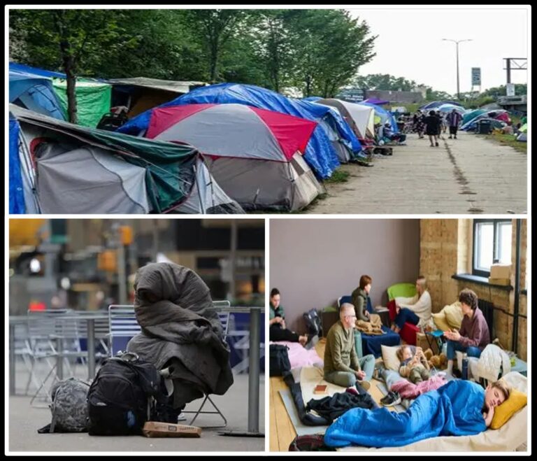 Faces of Homeless